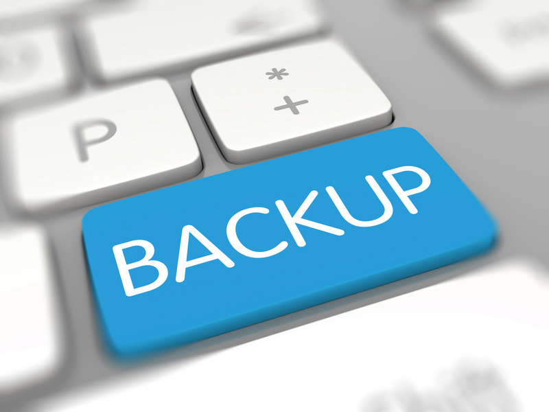 domains und hosting biz zu 90 Tage Serverbackup
